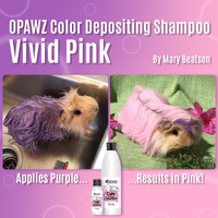 OPAWZ Funky Color Shampoo - Vivid Pink - 500ml (FC06)