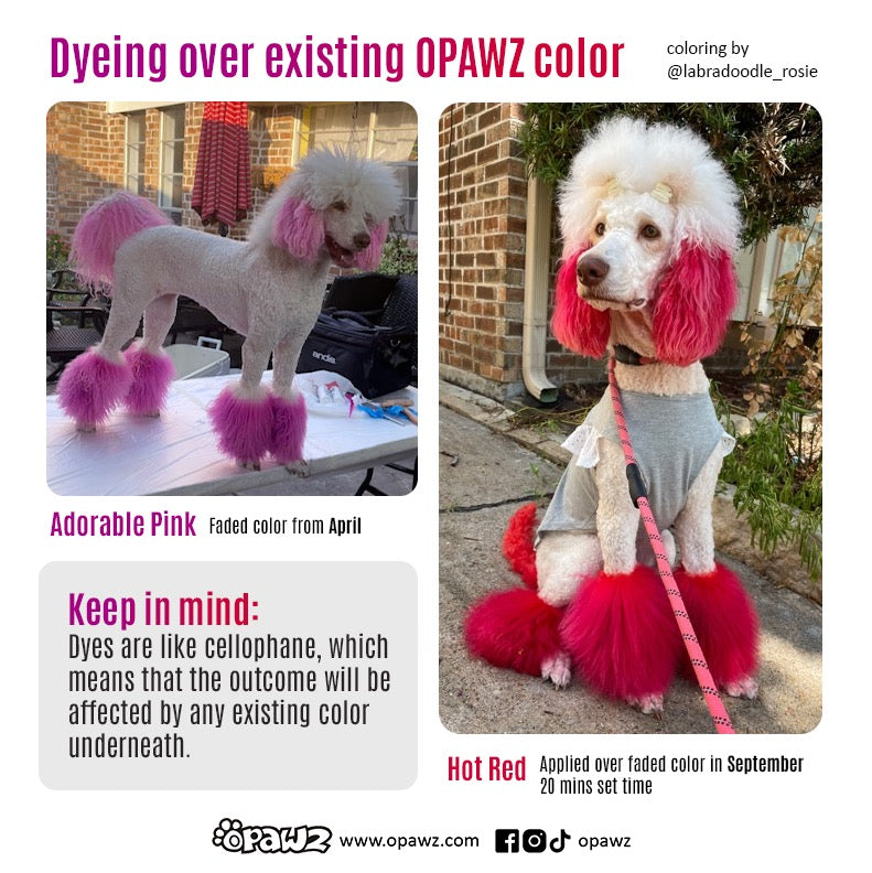 Dog Hair Dye - Hot Red (PD01)