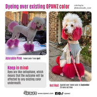 Dog Hair Dye - Hot Red (PD01)