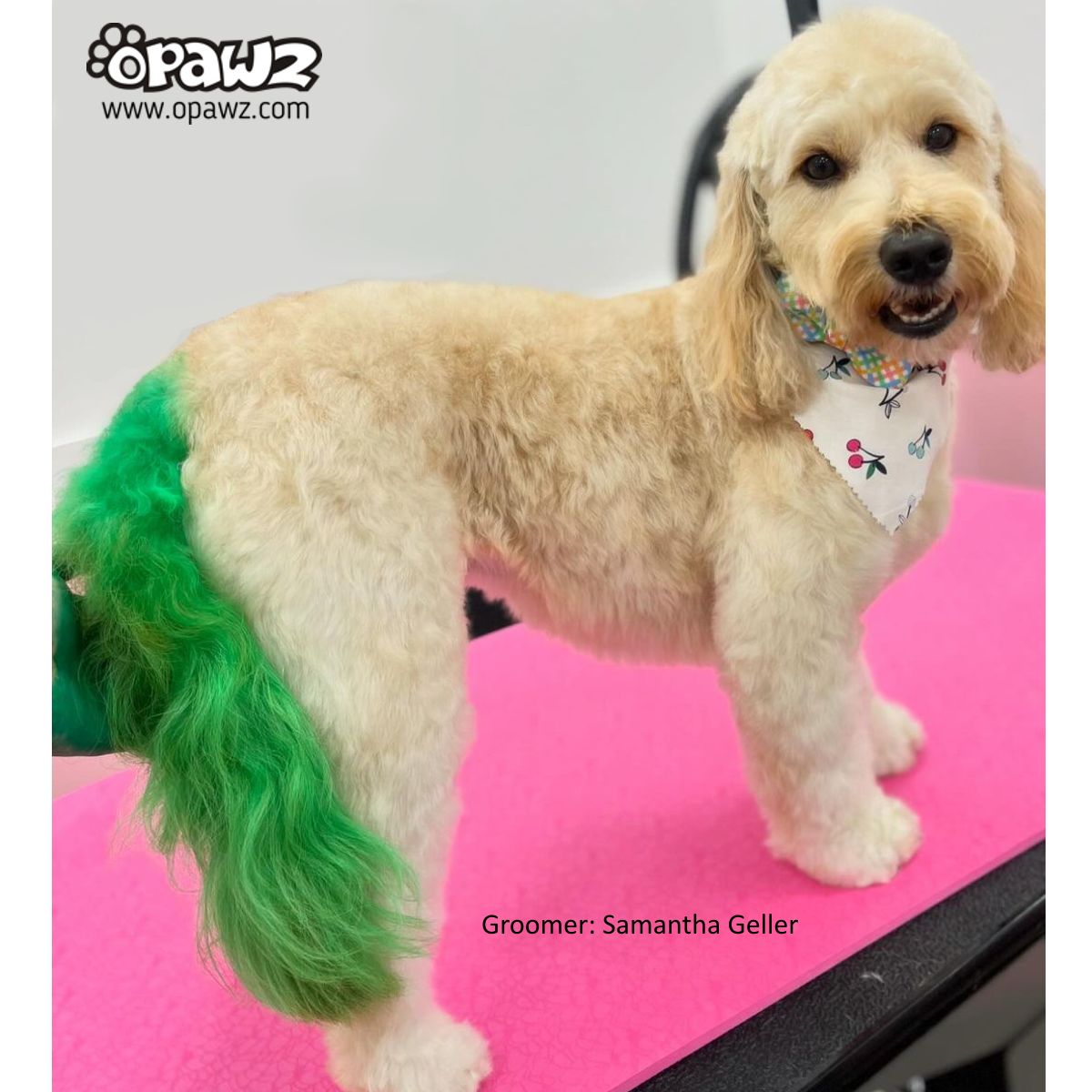 OPAWZ Semi-Permanent Dog Hair Dye - Kelly Green