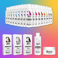 Pack économique de démarrage pour toiletteur de teinture pour chiens, 19 pièces (VP04)