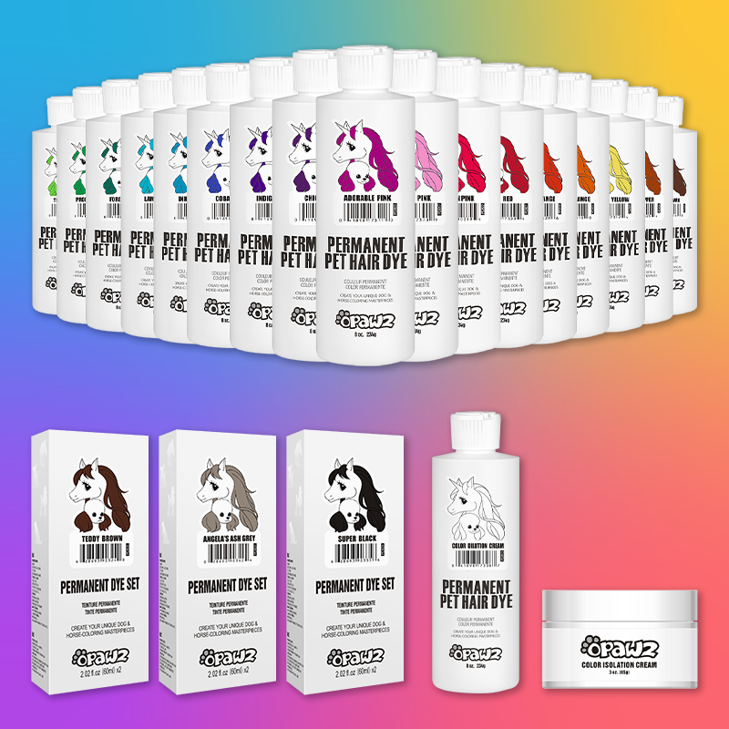 Pack économique de démarrage pour toiletteur de teinture pour chiens, 19 pièces (VP04)