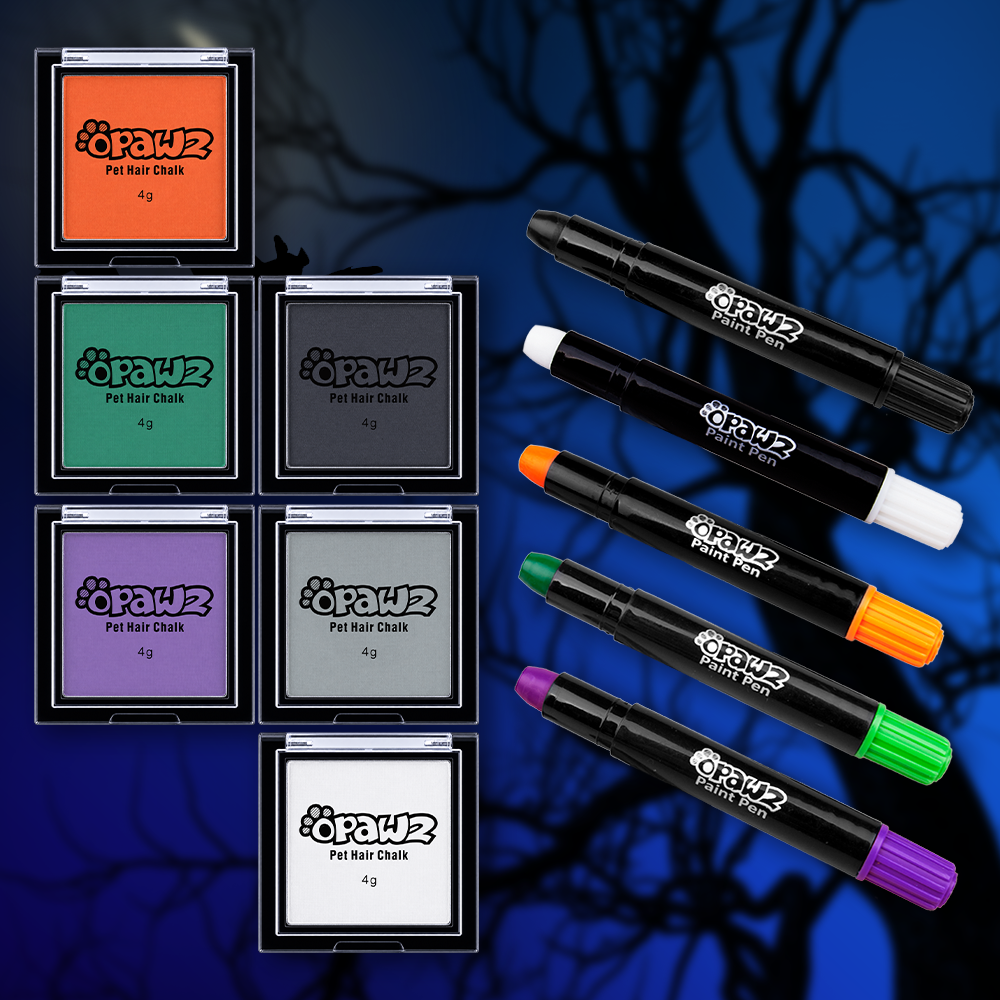 Paquete económico de Halloween: rotuladores de tiza y pintura (VP44)