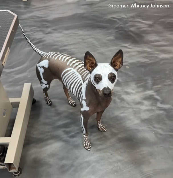 Color Paste - White (TP08)