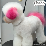 Teinture pour poils de chien-Adrian Pink (PD22)