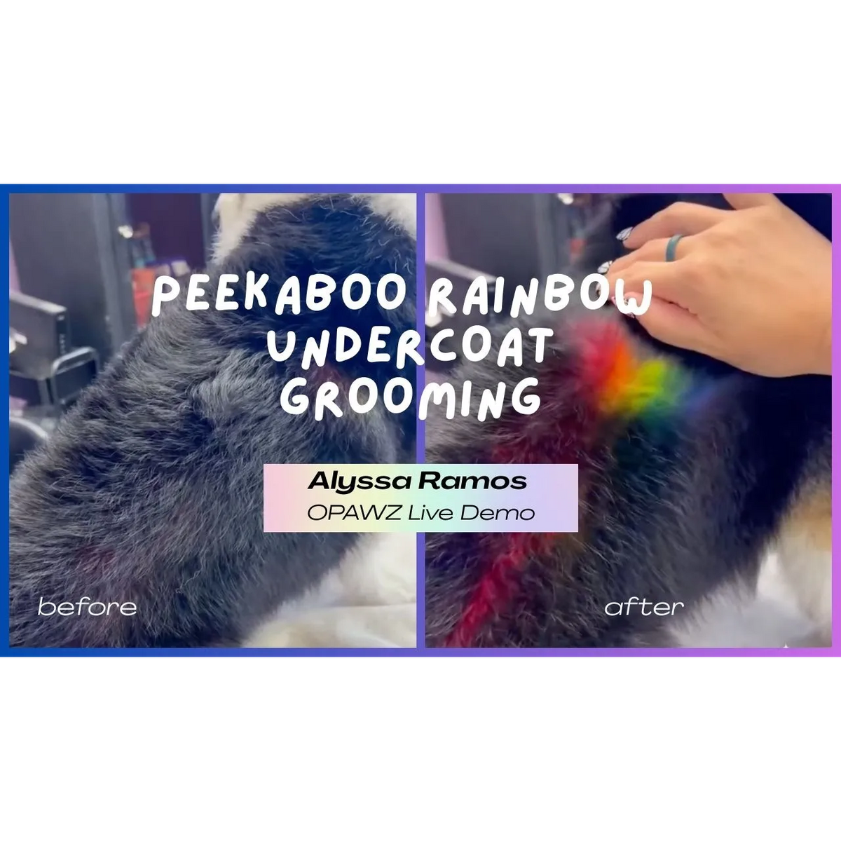 Free Course: Peekaboo Color with Alyssa Ramos