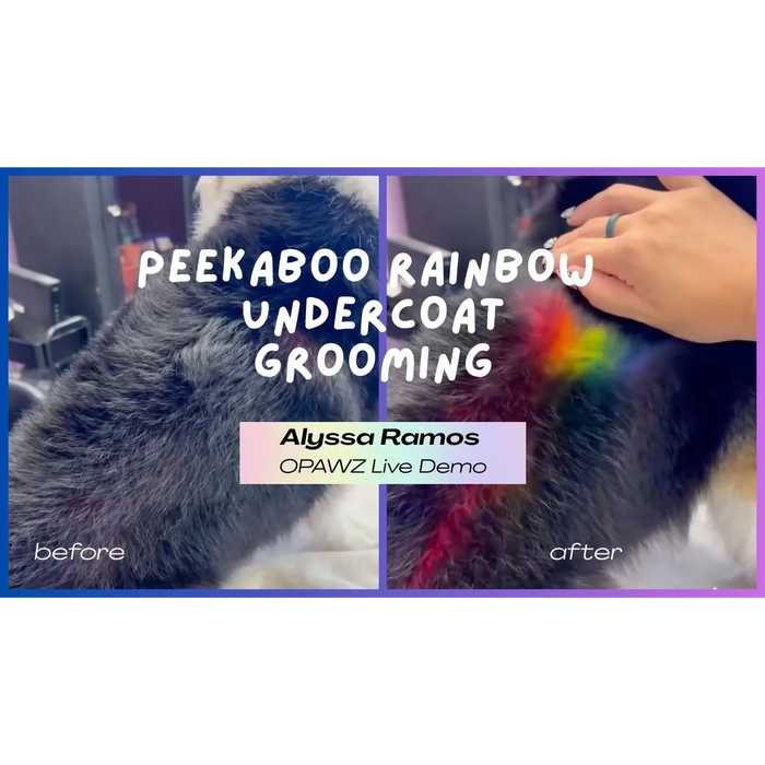 Free Course: Peekaboo Color with Alyssa Ramos