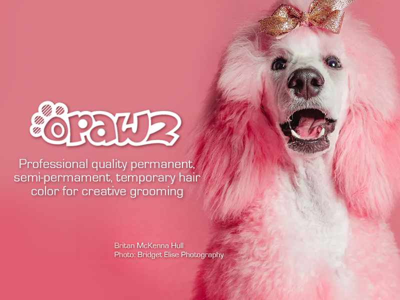 OPAWZ Temporary Pet Hair Dye For Creative Grooming