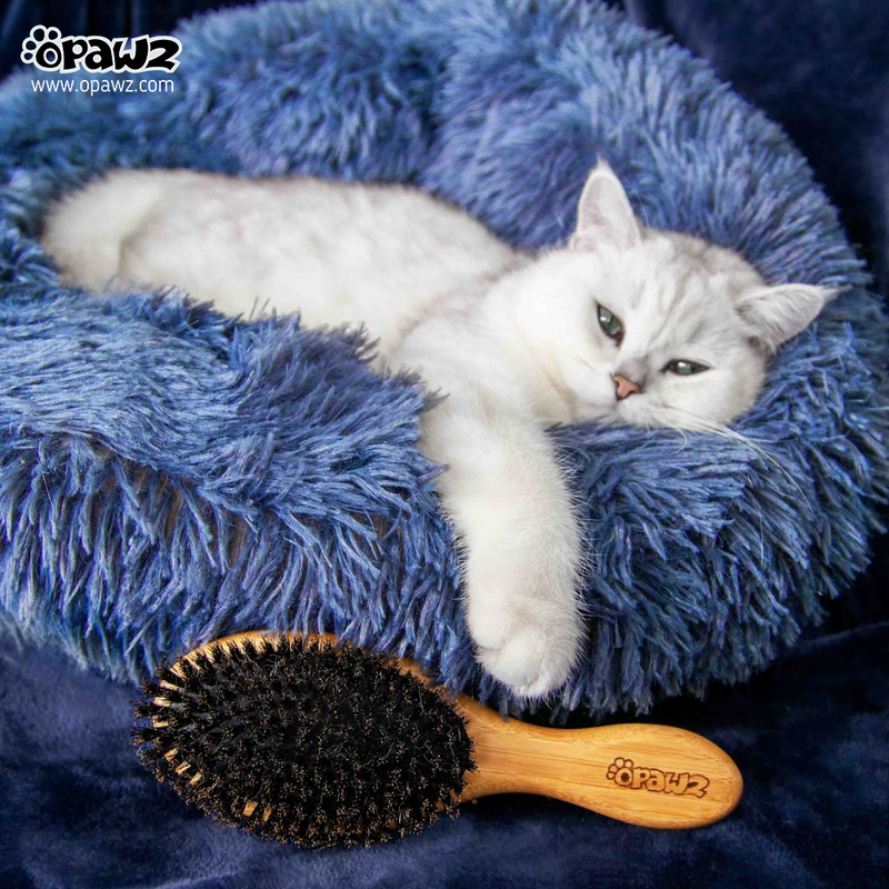 OPAWZ Boar Bristle Hair Brush (GT30)