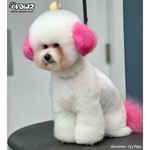 Dog Hair Dye - Adrian Pink (PD22)