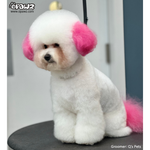 Tinte para el pelo de perro-Adrian Pink (PD22)