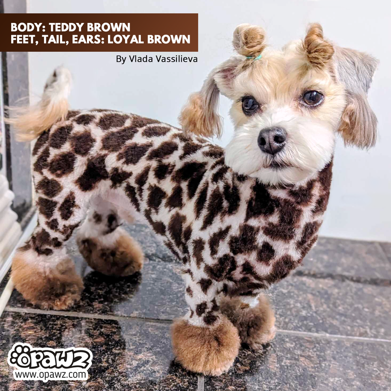 Dog Hair Dye - Teddy Brown (PD30)