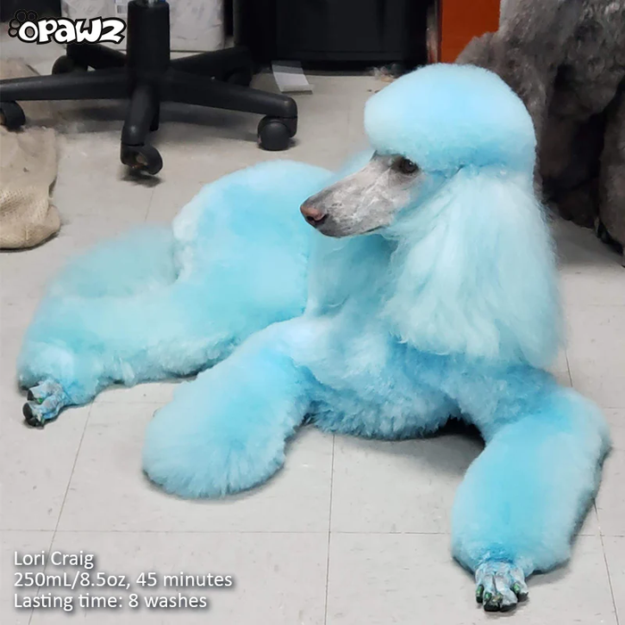 Paquete económico de champú y acondicionador de color de 5 piezas (VP32)