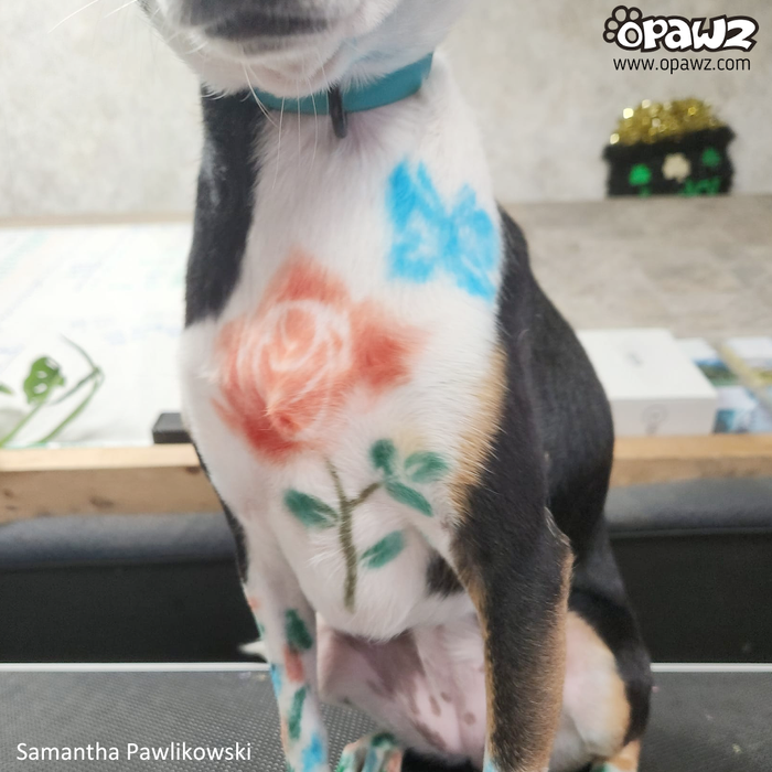 Ensemble de pochoirs de tatouage OPAWZ (GT04)