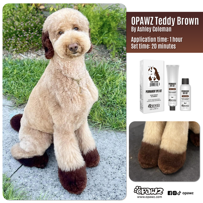 BUY 3 GET 1 FREE - Teddy Brown (VP67)