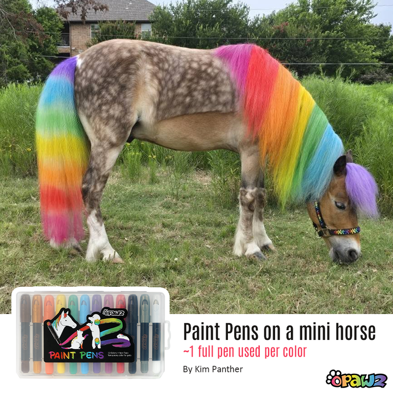 OPAWZ Paint Pen, 12 pcs/set (TPP02)