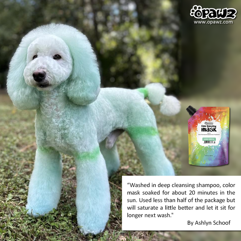 OPAWZ Color Depositing Mask - Lush Green - 200ml (CM05)