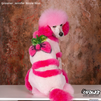 OPAWZ Color Depositing Mask 6 Colors Value Pack (VP47)