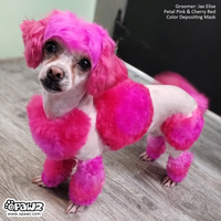 OPAWZ Color Depositing Mask 6 Colors Value Pack (VP47)