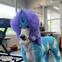 OPAWZ Color Depositing Mask 6 Colors Value Pack (VP47)