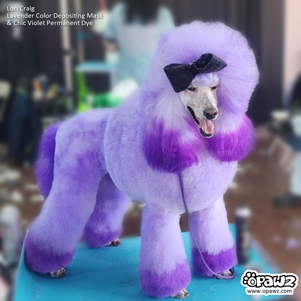 OPAWZ Color Depositing Mask 6 Colors Value Pack (VP47)