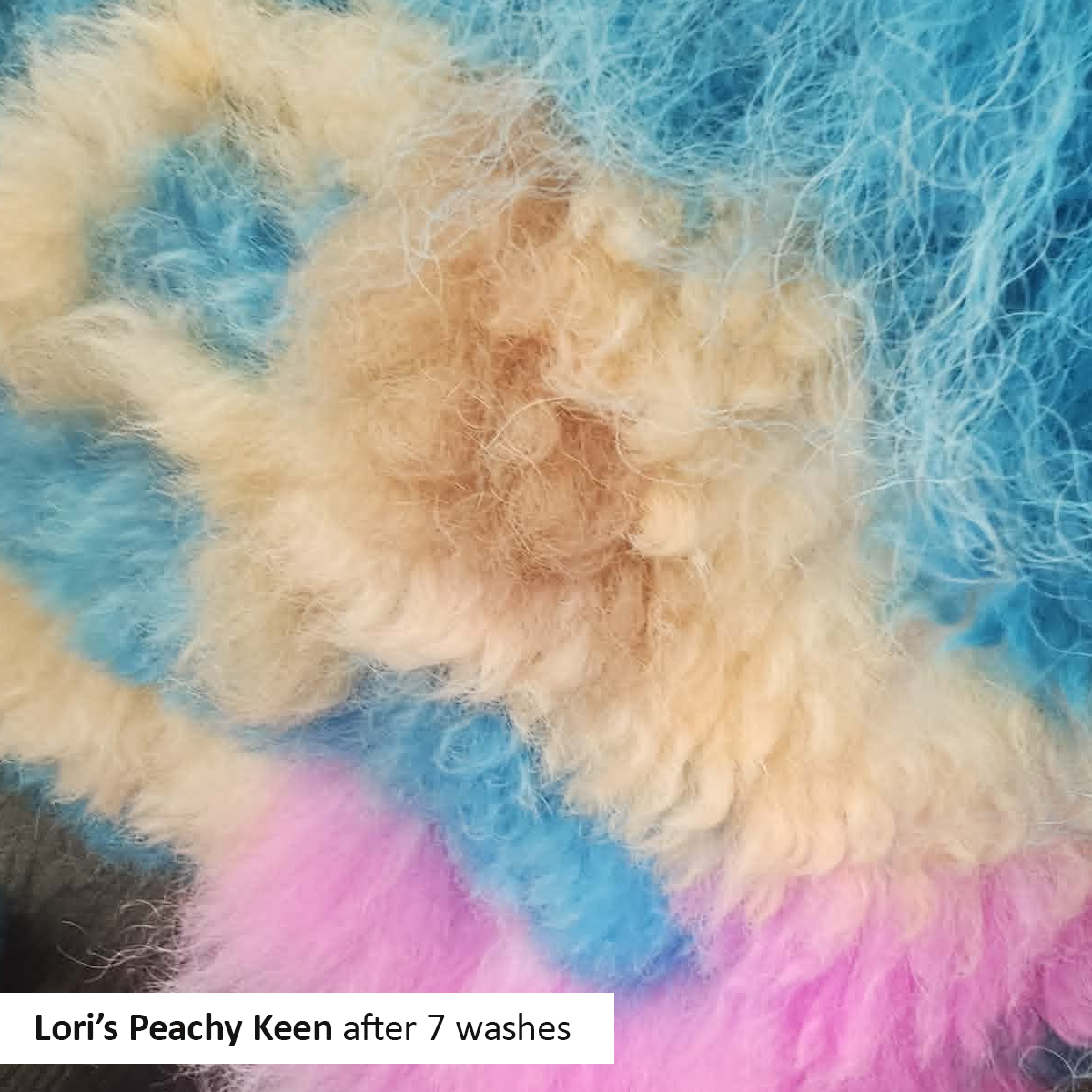 Dog Hair Dye - Lori's Peachy Keen (PD24)