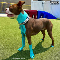 Dog Hair Dye - Lamarius Blue (PD27)