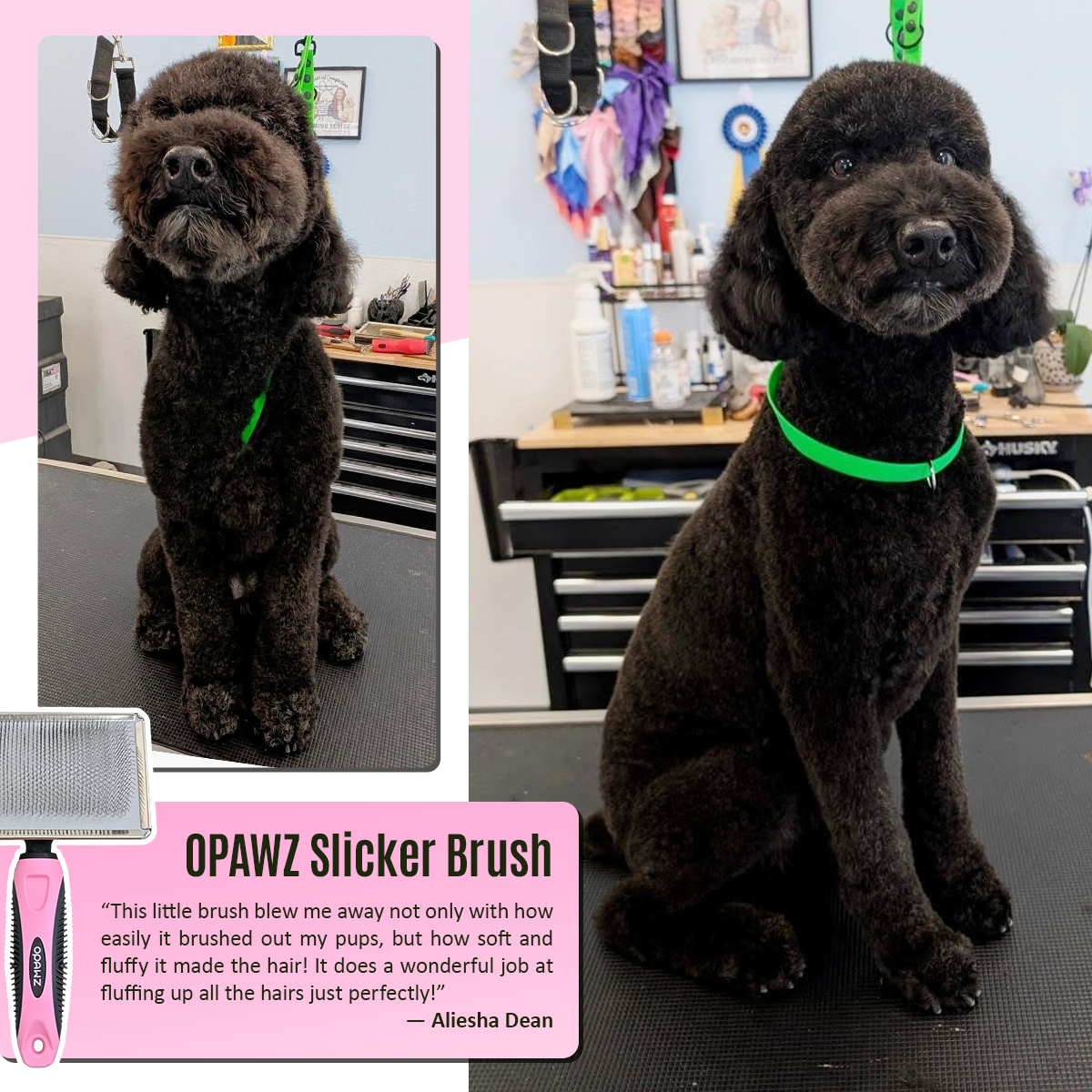 OPAWZ Pet Slicker Brush