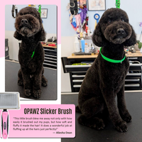 OPAWZ Pet Slicker Brush