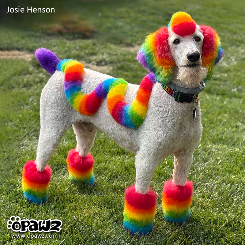 Rainbow Colors Value Pack (VP62) – OPAWZ