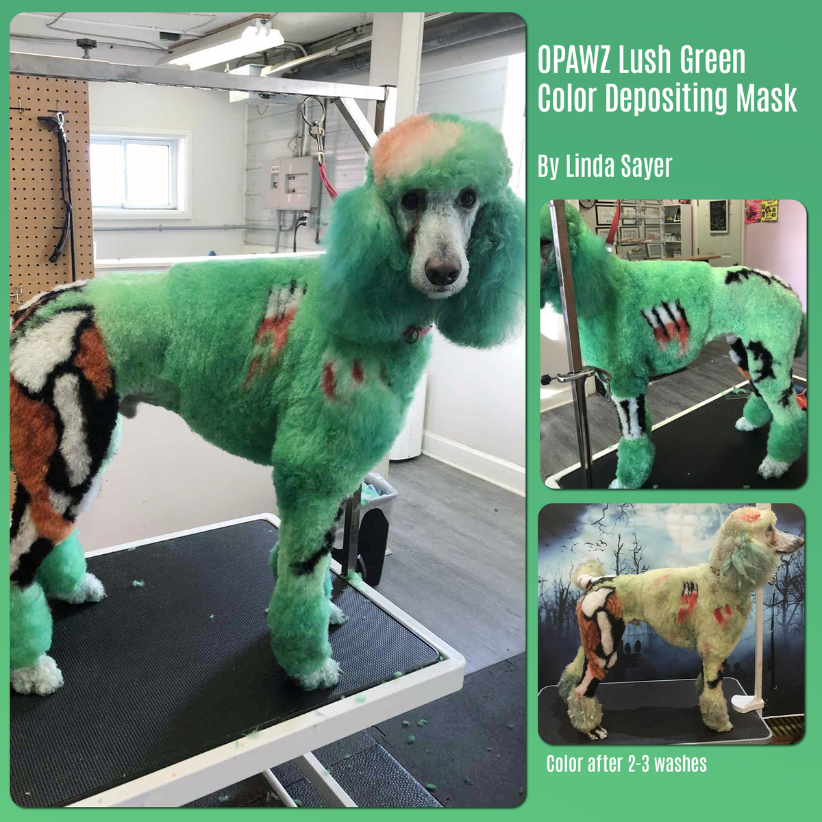 Mascarilla depositante de color OPAWZ - Rojo cereza - 200 ml (CM04)