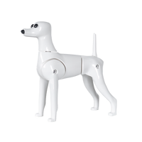 Toy Poodle Model Dog (MD01)