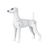 Chien modèle caniche jouet (MD01)