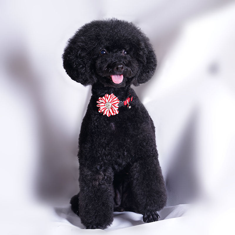 Stripe Fabric Pet Flower Collar - A048