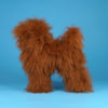 OPAWZ Teddybear Perruque de chien corps entier - Marron (DW10) 