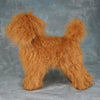 OPAWZ Peluca de perro de cuerpo entero de caniche toy de alta densidad - Marrón (DW05-2)