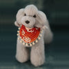 OPAWZ Teddybear Model Dog with 3 Colors Wig Value Pack (VP26)