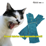 OPAWZ Gants de toilettage professionnels pour chats (GT26)