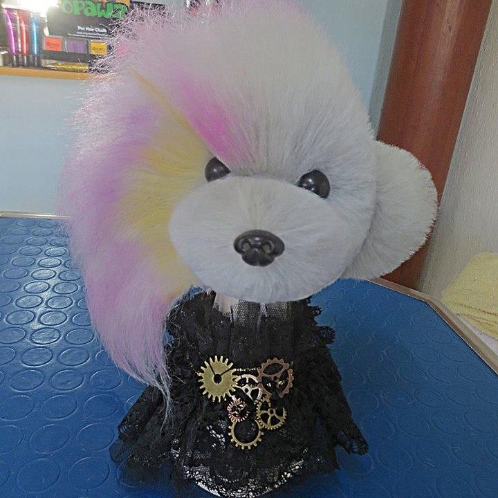 Grey Teddybear Toy Poodle Dog Head Wig – OPAWZ