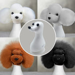 Tête de chien modèle Teddybear avec perruques 4 couleurs, pack économique (VP24)