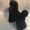 OPAWZ Toy Caniche Perruque de chien corps entier - Noir (DW01-4)