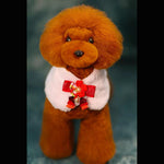 Châle en peluche rose - B020