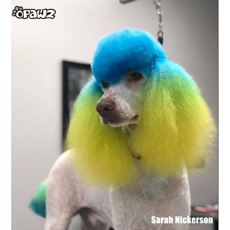 Tinte para el pelo de perro-Verde tierno (PD10)