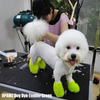 Dog Hair Dye - Tender Green (PD10)