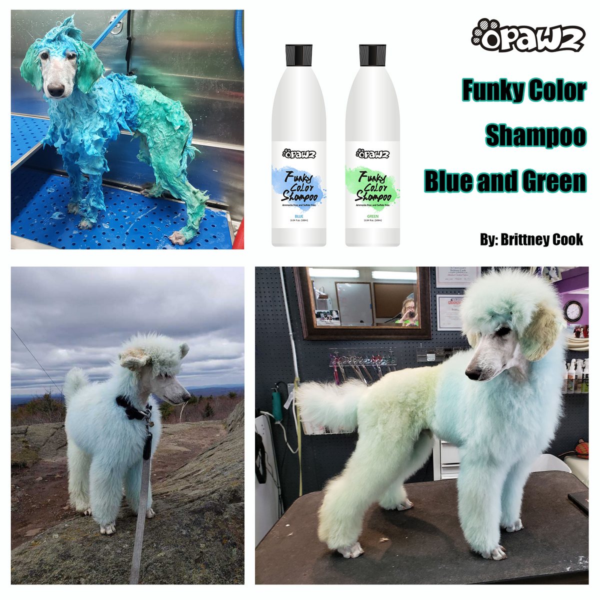 OPAWZ Funky Color Shampoo