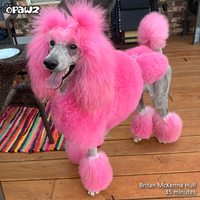 OPAWZ Funky Color Shampoo - Fuschia - 500ml (FC08)