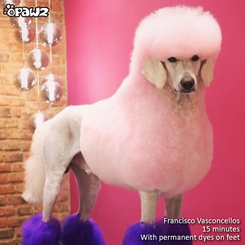 OPAWZ Funky Color Shampoo - Vivid Pink - 500ml (FC06)