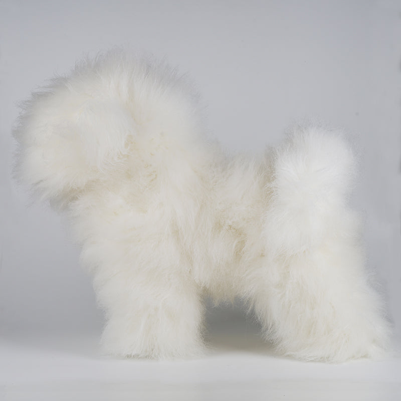 1:1.2 Bichon Show Dog Whole Body Model Dog Wig and Dog Value Pack
