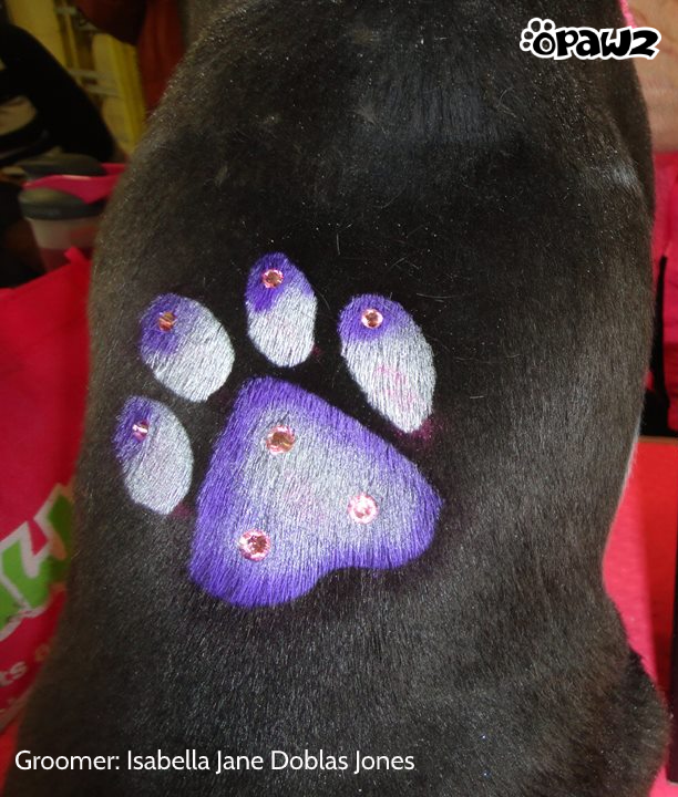 Pet Hair Chalk - White (TC07)