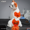 Teinture pour poils de chien-Orange ardent (PD02)